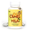 Camel Milk Capsules