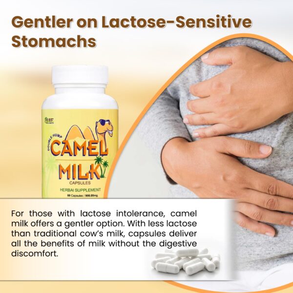 Camel Milk Capsules
