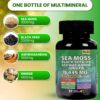 Sea Moss Ginger Capsules