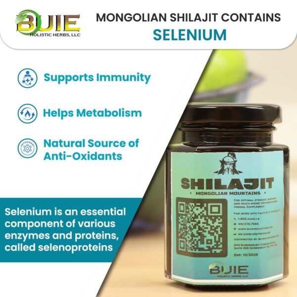 Authentic Mongolian Shilajit